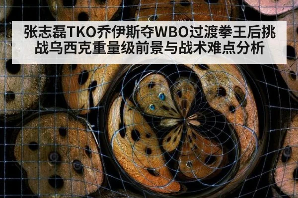 张志磊TKO乔伊斯夺WBO过渡拳王后挑战乌西克重量级前景与战术难点分析